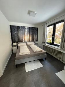 施马伦贝格Ferienwohnungen Rothaarglück的一间卧室设有一张大床和两个窗户。