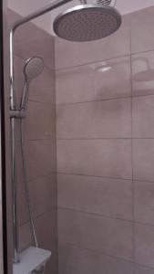 扎达尔EMA HOUSE的浴室内配有淋浴和头顶淋浴