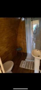 阿尼克Pinkys Pod at Rock Lodge的一间带卫生间和水槽的浴室