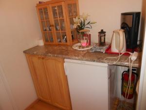 塔林波斯卡别墅旅馆的厨房柜台配有橱柜和冰箱