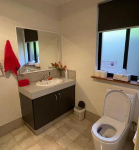 布里奇顿Thistle Do Bed and Breakfast的一间带卫生间、水槽和镜子的浴室