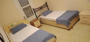 艾登Room in Apartment - Kadinlar Denizi Ev 31的一间卧室设有两张床和窗户。