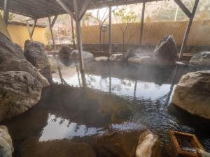 那须盐原市Shiobara Onsen Yashio Lodge的动物园里一个有岩石的池塘