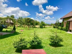 科瓦斯纳Casa Neagu的绿草树木和灌木的院子