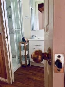 奇尔特恩Willuna Sanctuary的带淋浴、水槽和门的浴室