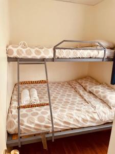 奇尔特恩Willuna Sanctuary的小型客房配有两张双层床,