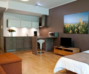 派尔努Jalaka Apartment with sauna的一间带一张床的房间和一间带电视的厨房