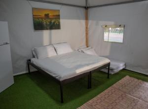 基尼烈The Camping Site Hamat Gader的绿色客房的一张床位
