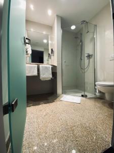 布伦AiREA Hotel的带淋浴、盥洗盆和卫生间的浴室