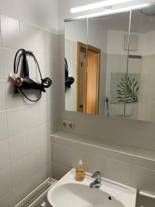 阿尔特瑙Ferienwohnung Kleine Auszeit in Altenau的一间带水槽和镜子的浴室