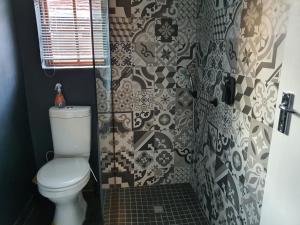 约翰内斯堡Melvilla Studio的一间带卫生间和瓷砖墙的浴室