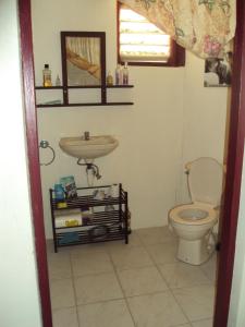 CalibishieRiversideview House的一间带卫生间和水槽的浴室