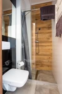 亚罗钦NoclegiJarocin Bed & Breakfast的一间带卫生间和淋浴的浴室