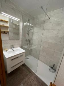 艾姆拉普拉涅Duplex la Plagne Montalbert的带淋浴、盥洗盆和卫生间的浴室