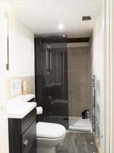 比尔伯勒The Carriage House, Studio 3A的浴室配有卫生间、盥洗盆和淋浴。