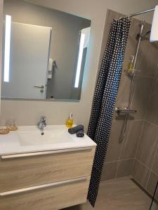 Norðurfjörður厄尔达丁德尔小屋酒店的浴室配有盥洗盆和带镜子的淋浴