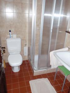 珀希拉恩莫泽餐厅酒店的浴室配有卫生间、淋浴和盥洗盆。