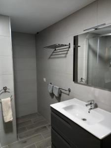 Viana do BoloO Trancallo的浴室配有盥洗盆和带镜子的淋浴