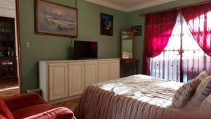 阿拉胡埃拉Alexander b&b的一间卧室配有一张带红色窗帘的床和电视。
