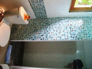 圣卡塔利娜岛Hotel Iguanito的浴室设有淋浴和卫生纸卷
