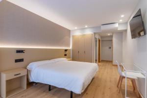 洛格罗尼奥EightRooms La Rioja Pension的一间卧室配有一张床、一张书桌和一台电视。
