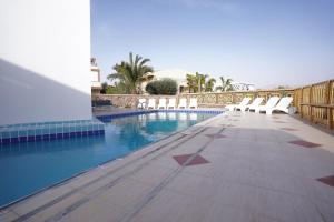 埃拉特YalaRent Afarsemon Apartments with pool - For Families & Couples的游泳池旁设有白色躺椅