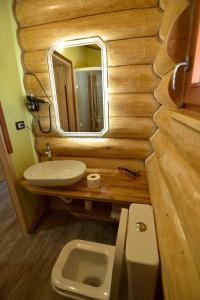 博尔沙Cabanele Petran的一间带水槽、卫生间和镜子的浴室