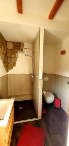 拉特诺Sonniges Eck Ferienwohnung 2的客房内设有带水槽和卫生间的浴室