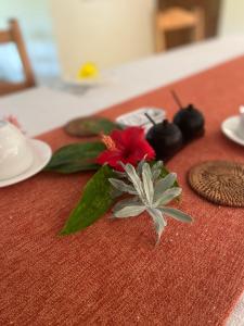 拉迪格岛卡劳宾馆的红色的桌布,上面有红花