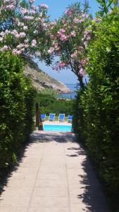 尼斯波特Elbamare residence con piscina的一座带两把椅子的游泳池以及一棵种有粉红色花卉的树