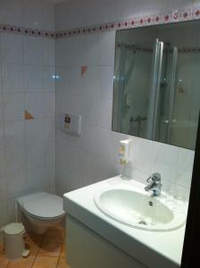塞尔巴赫加尔尼施米尔德奥森酒店的一间带水槽、卫生间和镜子的浴室