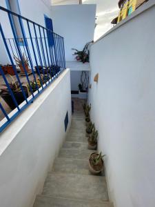 萨尔雷Nos Kasa的建筑一侧有盆栽植物的楼梯