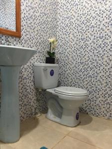 特拉Hilamito Lodge的一间带卫生间和水槽的浴室