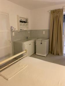 阿吉奥斯普罗科皮奥斯尼克莱塔一室公寓酒店的厨房配有水槽和冰箱