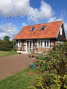 赫加奈斯Hönshuset Kullabygden的一座有橙色屋顶的房子,鸟儿飞翔