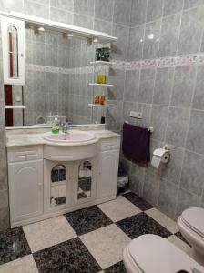 阿尔玛格鲁Apartamento Turístico Antigua Universidad Almagro的一间带水槽和卫生间的浴室