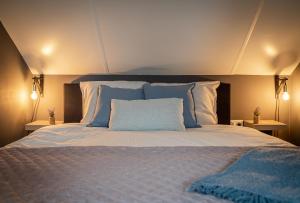 Reuver't Tuinhoes的一间卧室配有一张带蓝色枕头的大床