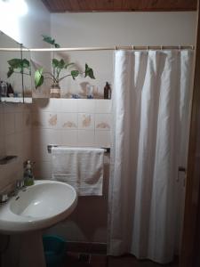 RacoCasa Raco的一间带水槽和淋浴帘的浴室