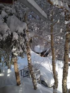法洛伦斯Hostal Boutique CUMBRES的一群雪上加霜的树