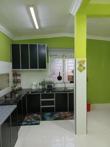 加央Homestay Dalia, Beseri, Perlis的厨房设有绿色的墙壁和黑色的台面