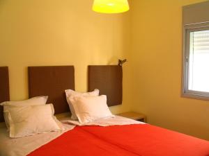 特拉维夫TLV Living Apartment的一间卧室配有一张带红色毯子和枕头的床。