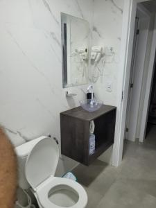 加罗帕巴NOVO LAR GAROPABA 2的一间带卫生间、水槽和镜子的浴室