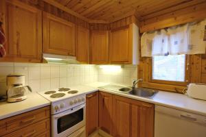 列维Villiporo Cabin Levi的厨房配有木制橱柜、炉灶和水槽。
