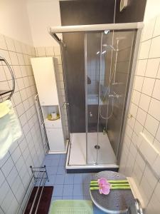 格拉茨City Apartmentstudio mit Tiefgarage free parking的浴室里设有玻璃门淋浴