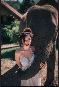 Ban Mae Sapok Noi3 Pok Maewang jinxiang Gold elephant park的女人在拥抱大象的躯干