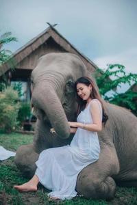 Ban Mae Sapok Noi3 Pok Maewang jinxiang Gold elephant park的一位女人坐在大象的背上