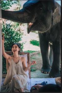 Ban Mae Sapok Noi3 Pok Maewang jinxiang Gold elephant park的相册照片