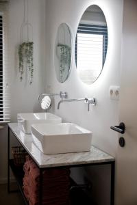 博尔赫隆Vakantiewoning Spoor 23的浴室设有2个水槽和2面镜子