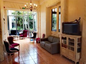 图尔贝斯特韦斯特中央酒店的带沙发和电视的客厅