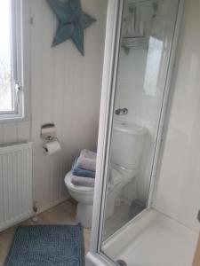 彭布罗克郡Beautiful 2 bedroom caravan, holiday park Tenby的带淋浴和卫生间的浴室